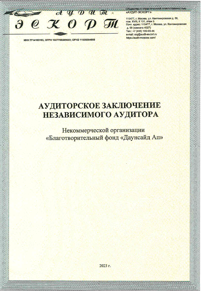 Аудиторское заключение 2022г.
