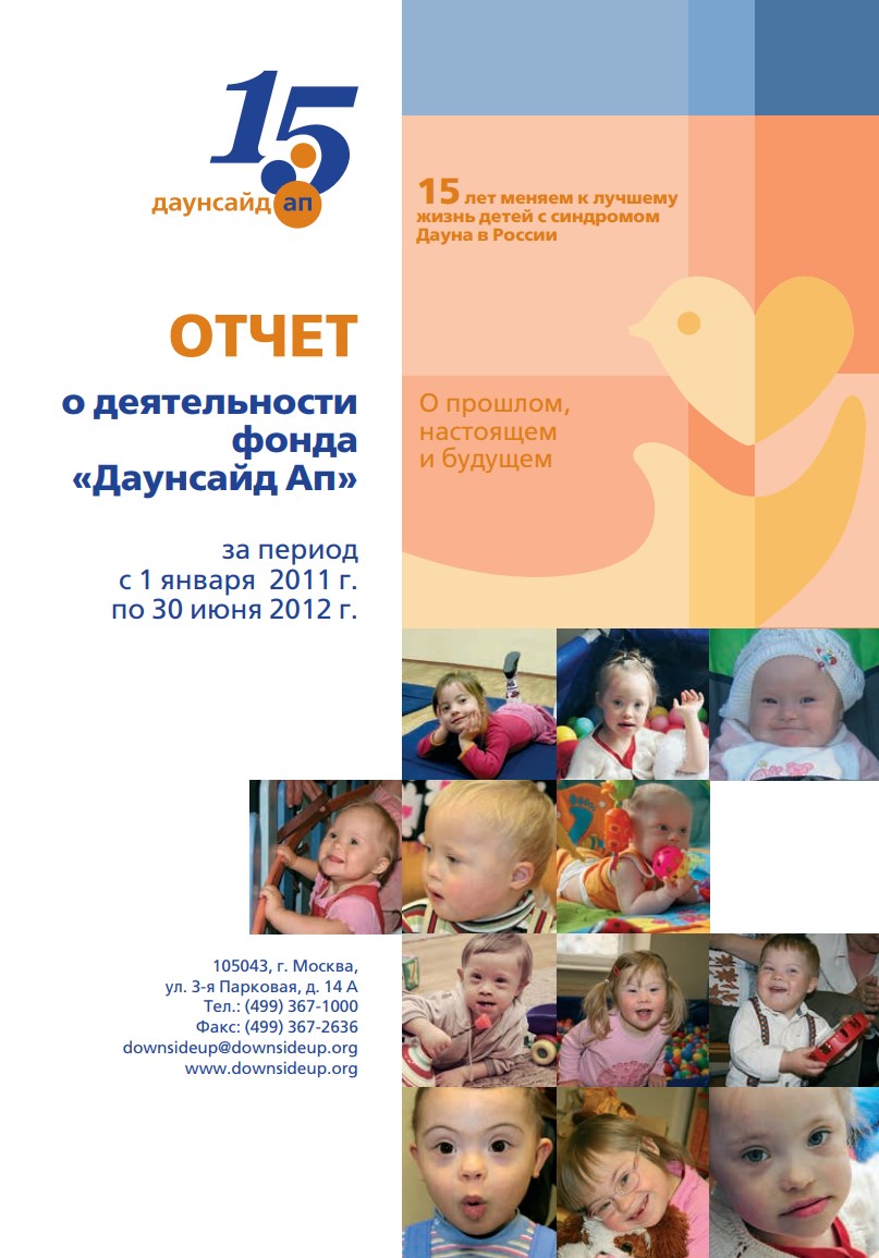 Годовой отчет Даунсайд Ап  (2011 - июнь 2012 гг.)