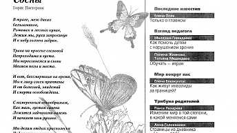 Журнал «Сделай шаг» № 2 (22), апрель 2004