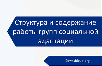 Запись вебинара "Структура и содержание работы группы социальной адаптации" 2023.04.27