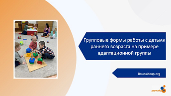 Запись вебинара "Групповые формы работы с детьми раннего возраста на примере адаптационной группы"  2023.11.09