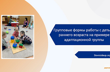 Запись вебинара "Групповые формы работы с детьми раннего возраста на примере адаптационной группы"  2023.11.09