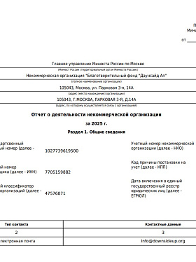 Годовой отчет 2025 года в Минюст РФ