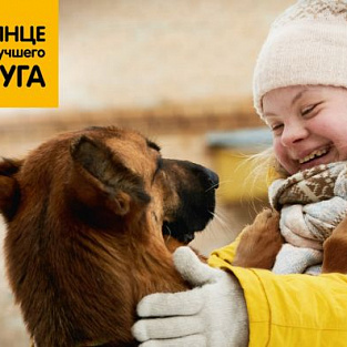 Социальный проект «Солнце для лучшего друга» продолжает собирать награды