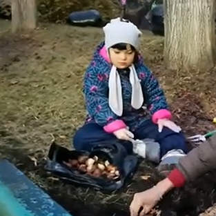 Группа "Адаптация к школе детей 7-12 лет" сажает тюльпаны в фонде Даунсайд Ап