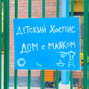 Сотрудники фонда Даунсайд Ап встретились с волонтерами и работниками детского хосписа «Дом с Маяком»