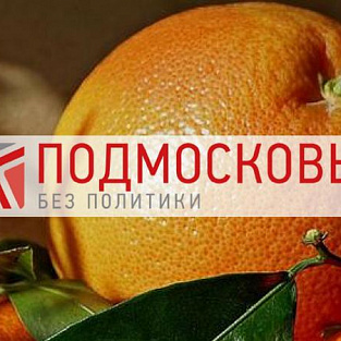 «Подмосковье без политики» поддерживает благотворительную акцию «Мы дарили апельсин»