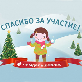 Чем дальше в лес — тем больше добра