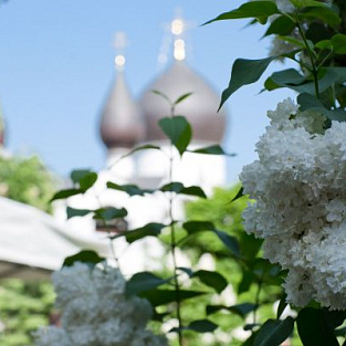Благотворительный праздник «Белый цветок» прошел в Марфо-Мариинской обители